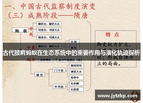古代披肩蚂蚁在生态系统中的重要作用与演化轨迹探析